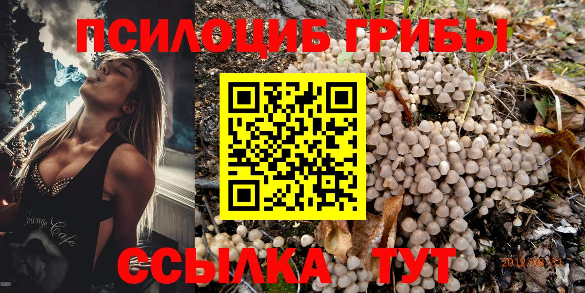 Галлюциногенные грибы Cubensis  Галлюциногенные грибы ЛСД  Вход с VPN  Троицк 